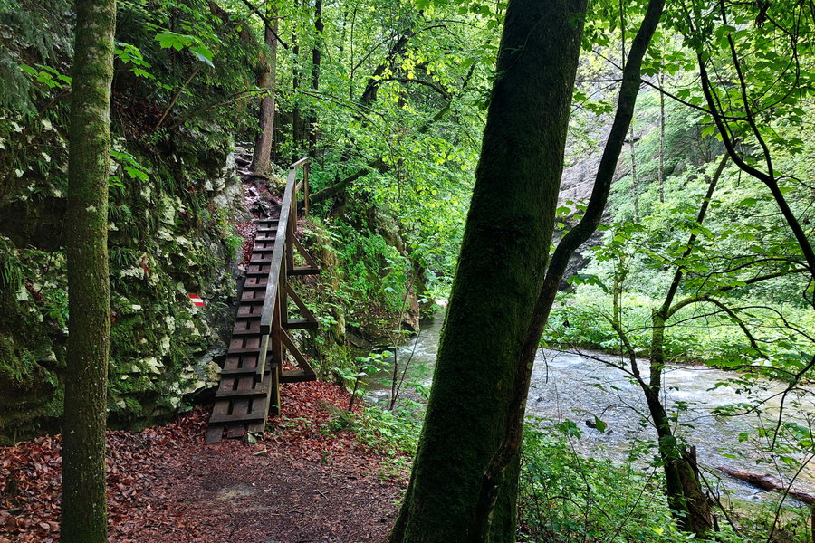 Holzsteg neben der Raab. Foto: Alice Frischherz