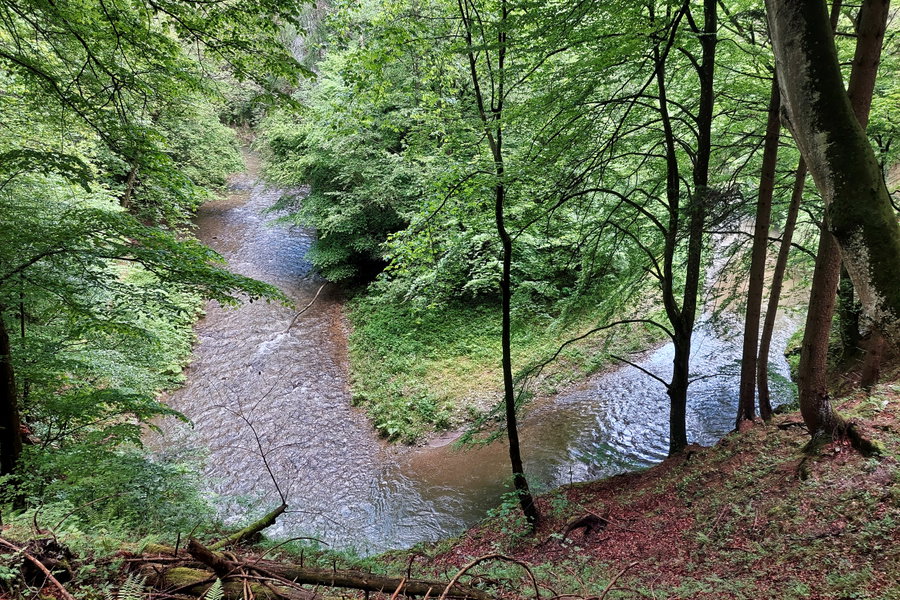 Raabklammweg - Blick hinunter auf die Raab. Foto: Alice Frischherz