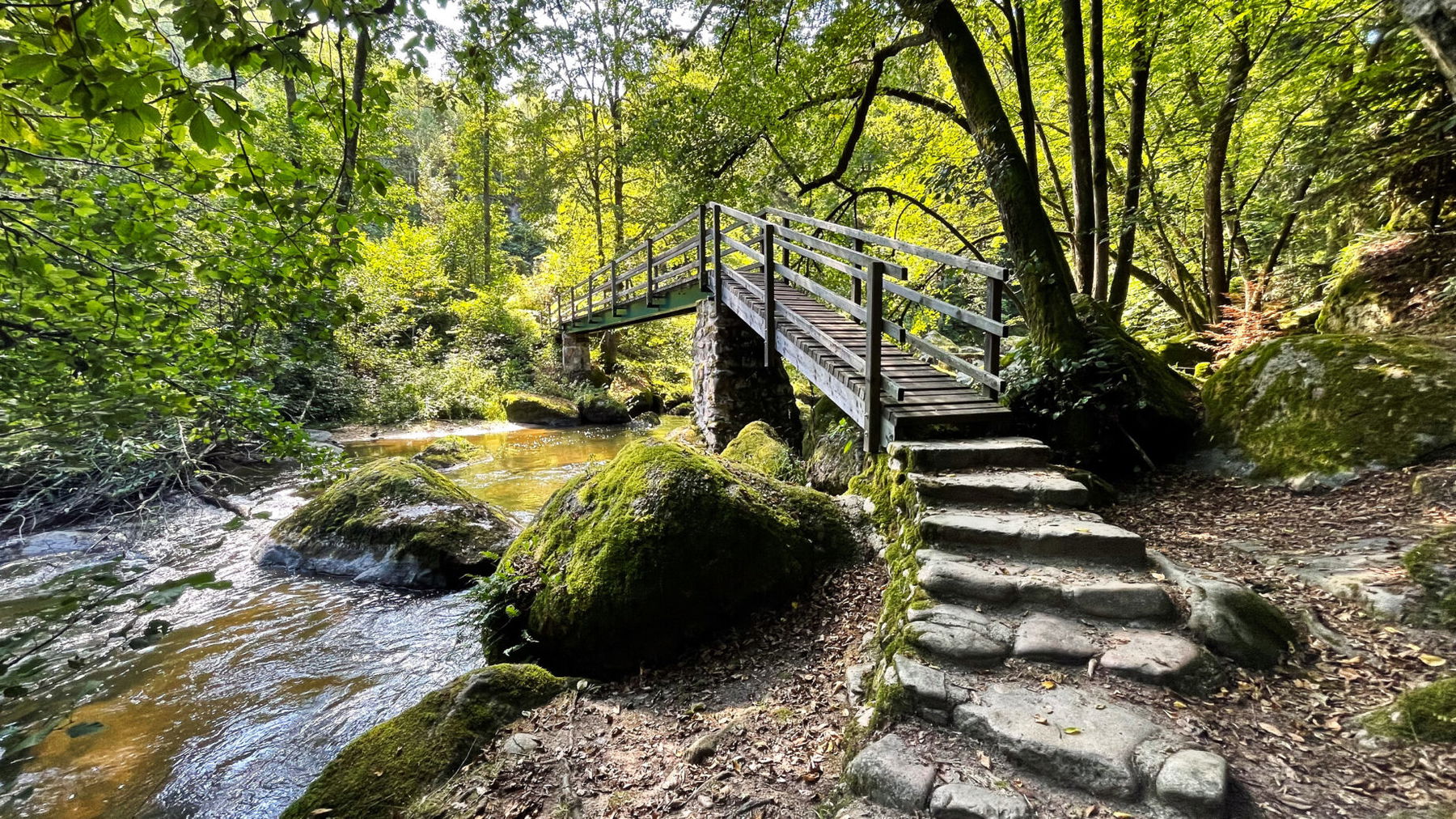 Brücke über die Feldaist. Foto: Eva Maria Ginal