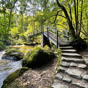 Waldluftbaden und Flussrauschen im Wald- und Feldaisttal