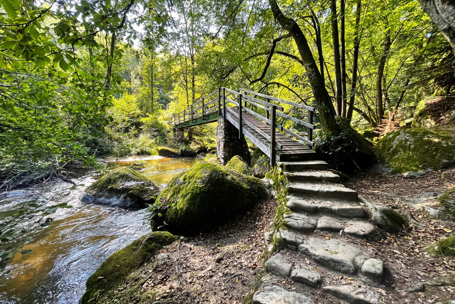 Brücke über die Feldaist. Foto: Eva Maria Ginal
