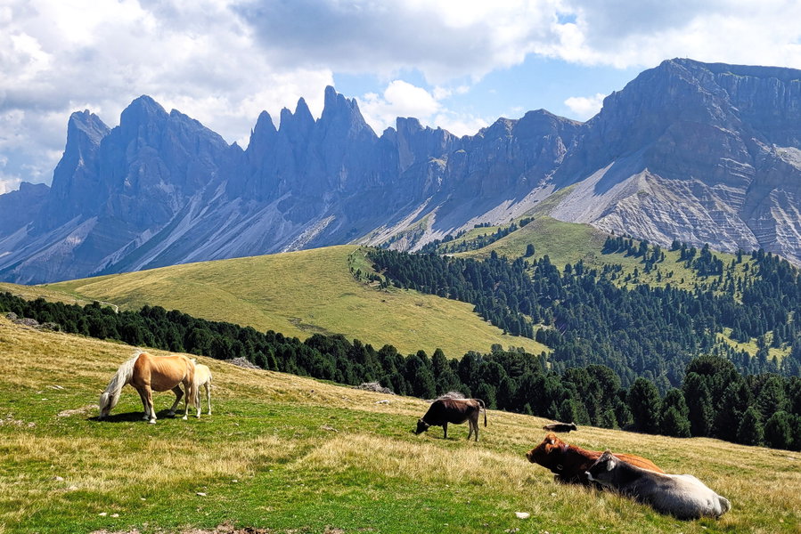 Almgebiet Innerraschötz im Naturpark Puetz-Geisler. Foto: Konrad Gwiggner