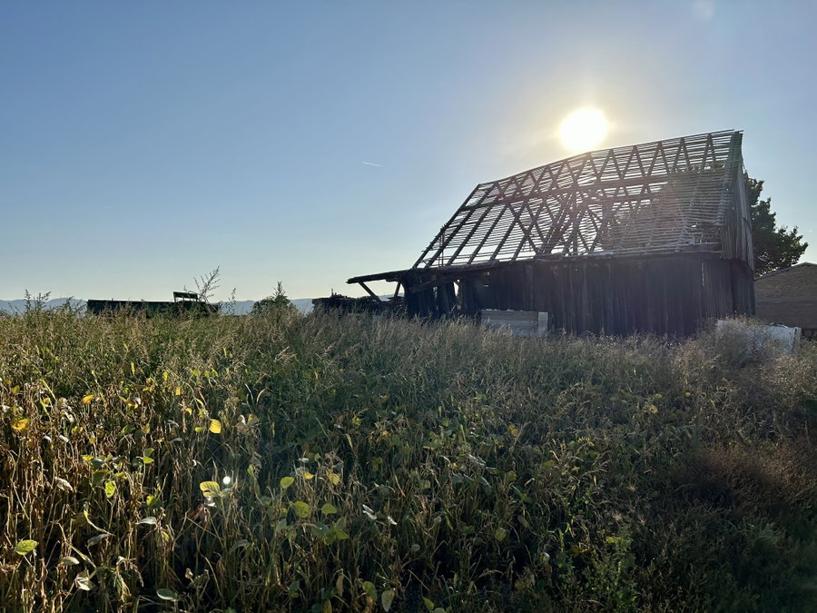 Schon ländlich kurz nach der Stadtgrenze. Foto Veronika Schöll