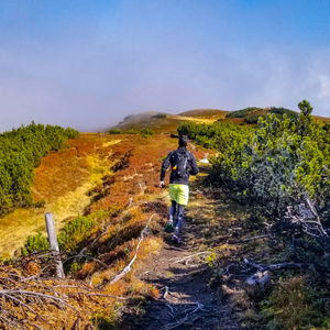 Herbstlicher Frost am Brennerkamm