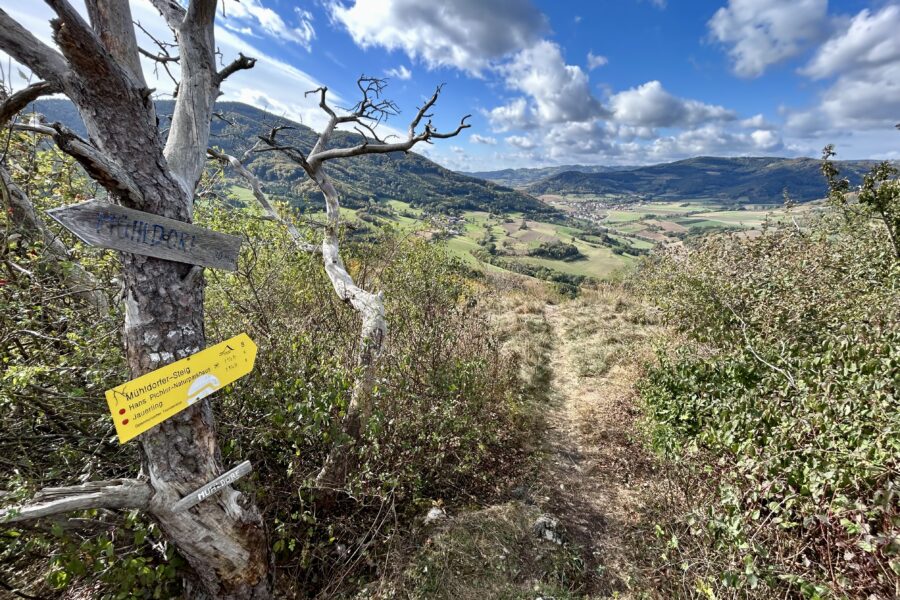 Hinunter am Mühldorfer Steig. Foto Veronika Schöll