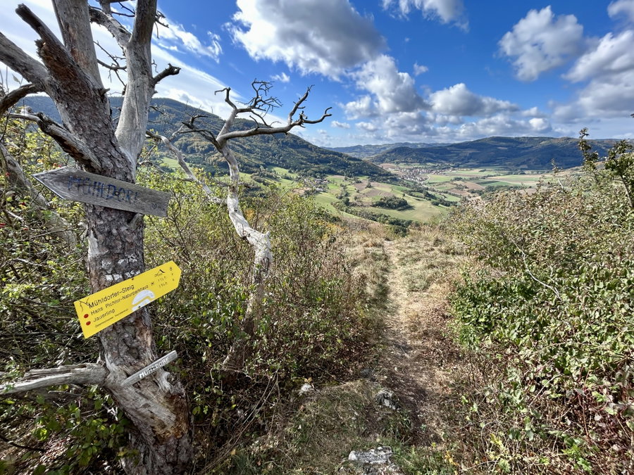 Hinunter am Mühldorfer Steig. Foto Veronika Schöll