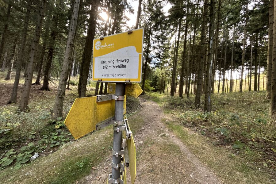 Weiter Richtung Jauerling. Foto Veronika Schöll