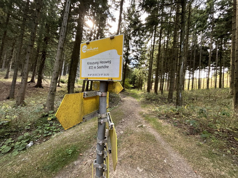 Weiter Richtung Jauerling. Foto Veronika Schöll