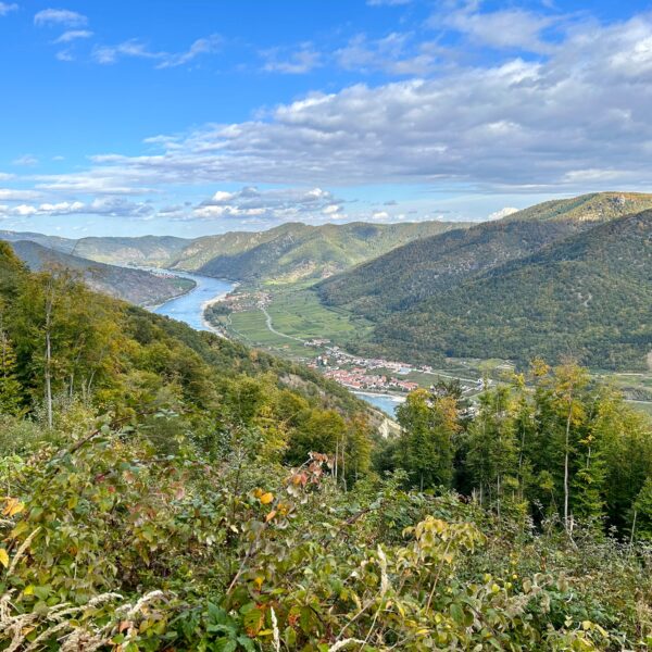 Prachtvolle Aussicht. Foto Veronika Schöll