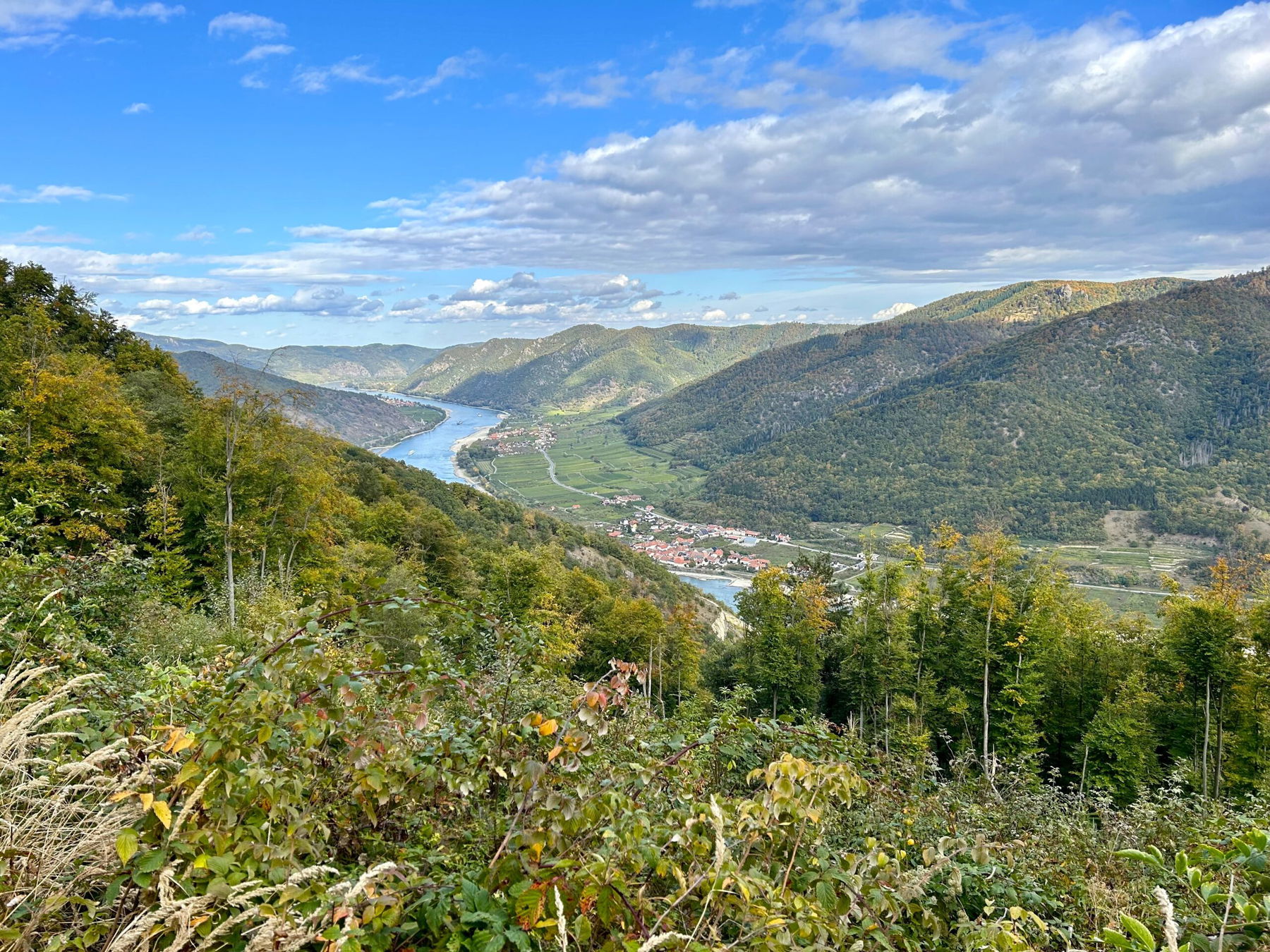 Über den Jauerling, Wein und Christbäume