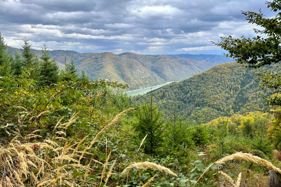 Blick Richtung Dunkelsteiner Wald. Foto Veronika Schöll