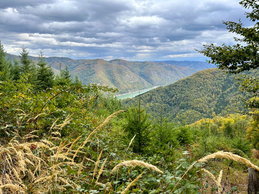 Blick Richtung Dunkelsteiner Wald. Foto Veronika Schöll