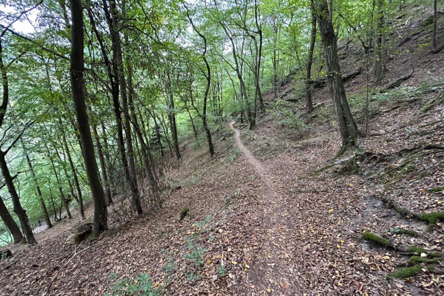 Wegerl zur Ruine Hinterhaus. Foto Veronika Schöll