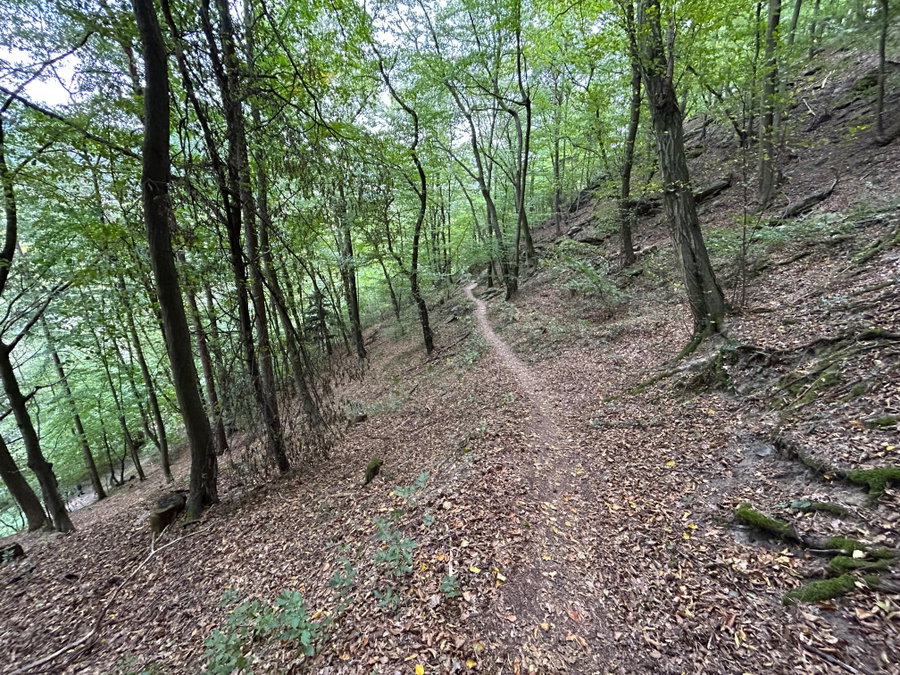 Wegerl zur Ruine Hinterhaus. Foto Veronika Schöll