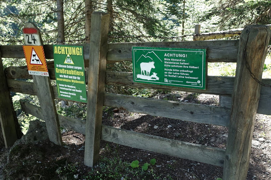 Gatter am Fahrweg. Foto: Gerold Petritsch