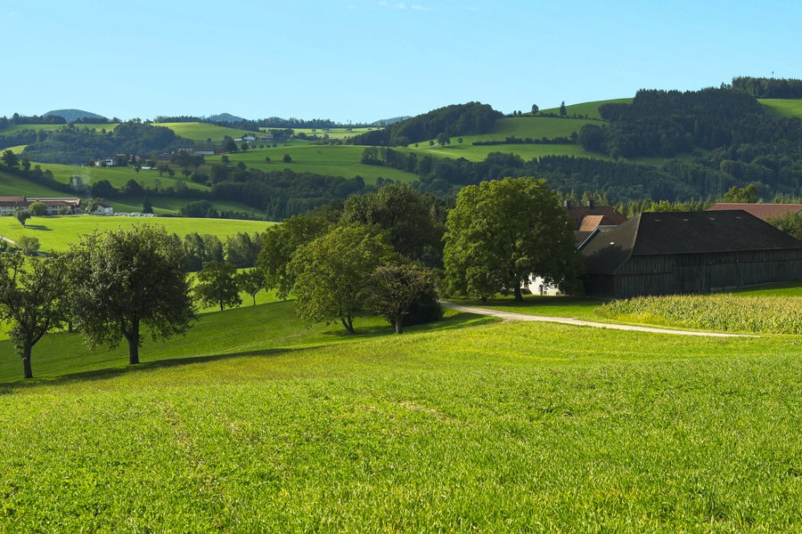 Rückblick vom Reiterhof. Foto: Lukas Zeilerbauer