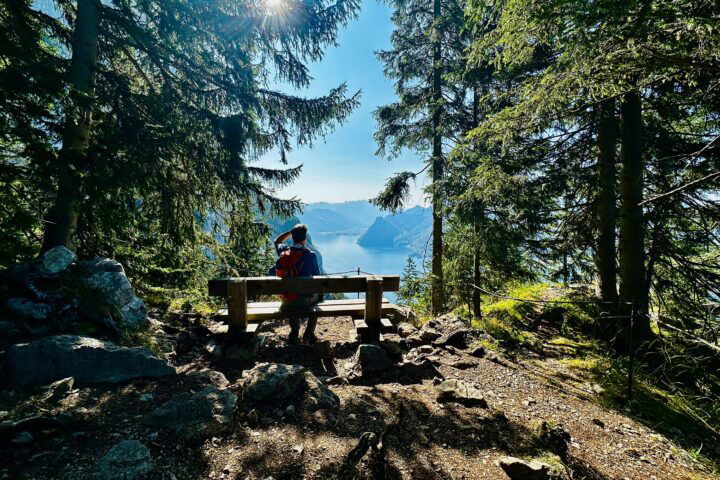 Am Hernlersteig. Foto:Stefan Hochhold