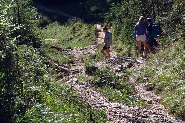 Am Gamskogel 2. Fotos: Gerold Petritsch