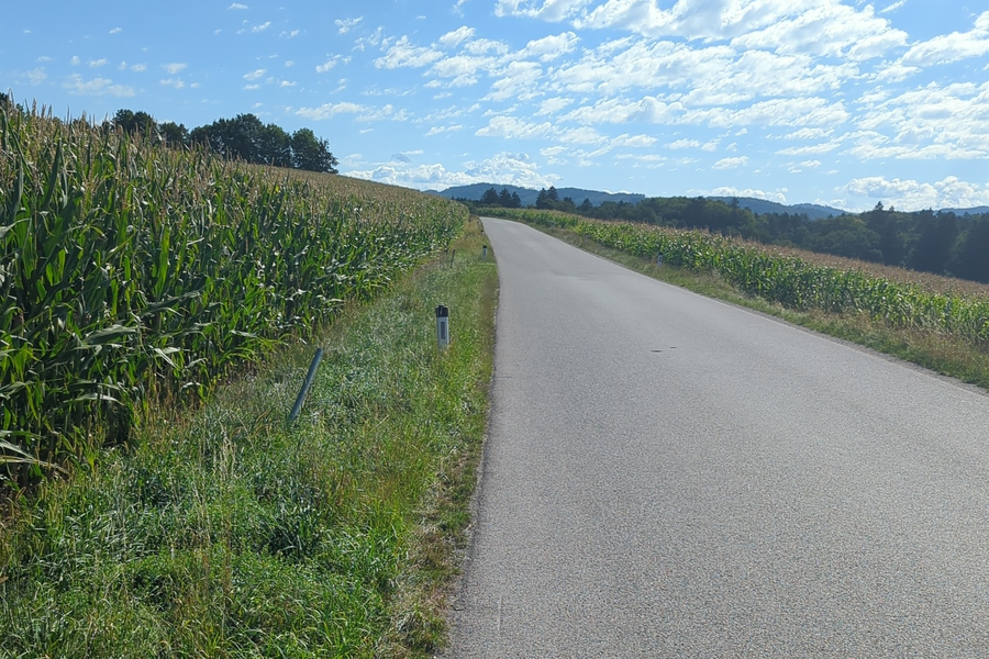 Relativ mühsamer "Asphalthatscher". Foto: Lukas Zeilerbauer