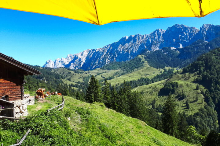 Brentenjochalm mit Blick aufs Kaisergebirge 2. Fotos: Gerold Petritsch