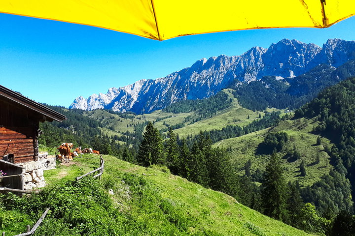 Brentenjochalm mit Blick aufs Kaisergebirge 2. Fotos: Gerold Petritsch