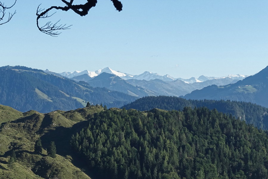 Venedigerblick. Foto: Gerold Petritsch
