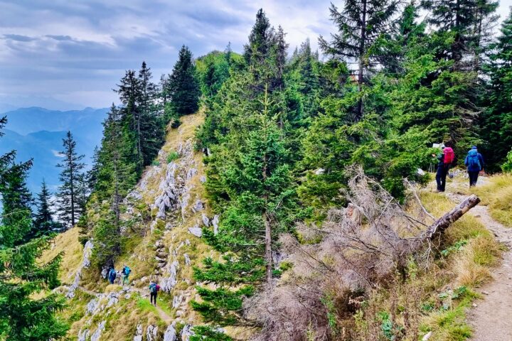 Abstieg am Mairalmsteig. Fotos: Stefan Hochhold