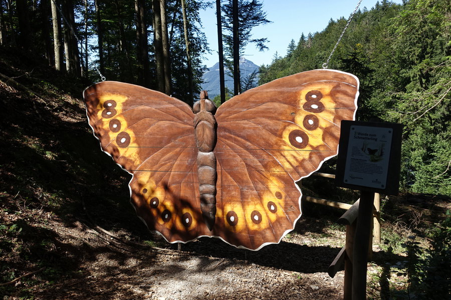 Am Naturerlebnisweg. Foto: Gerold Petritsch
