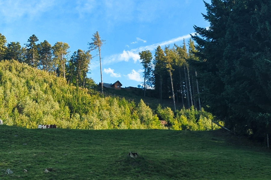 Letzer Rückblick zur Stockerhütte. Foto: Lukas Zeilerbauer