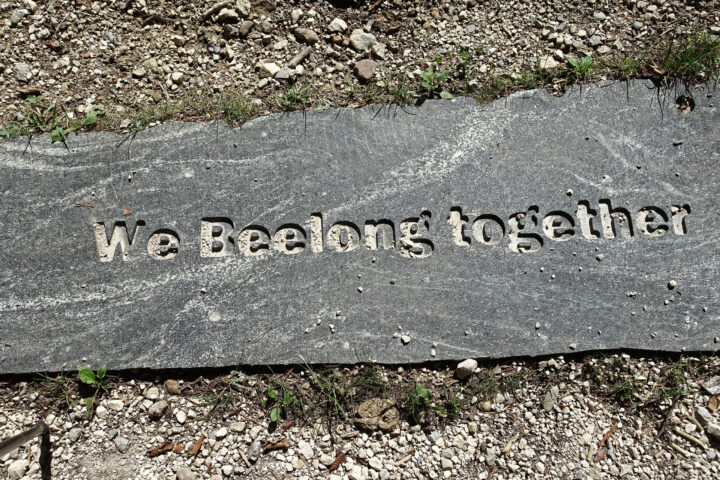 Am Weg zum Duyer Köpfl. Fotos: Gerold Petritsch