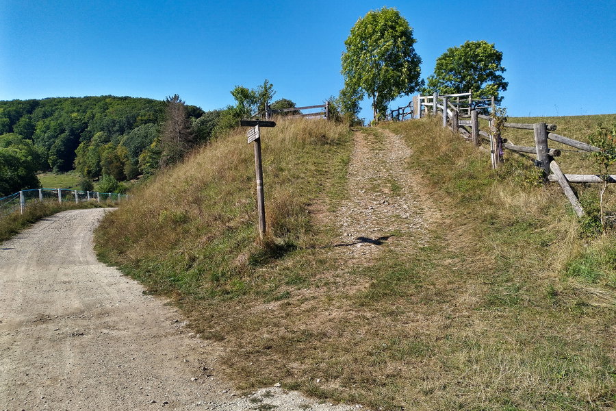 Wir folgen dem ansteigenden Feldweg. Foto: Stephan Palecek