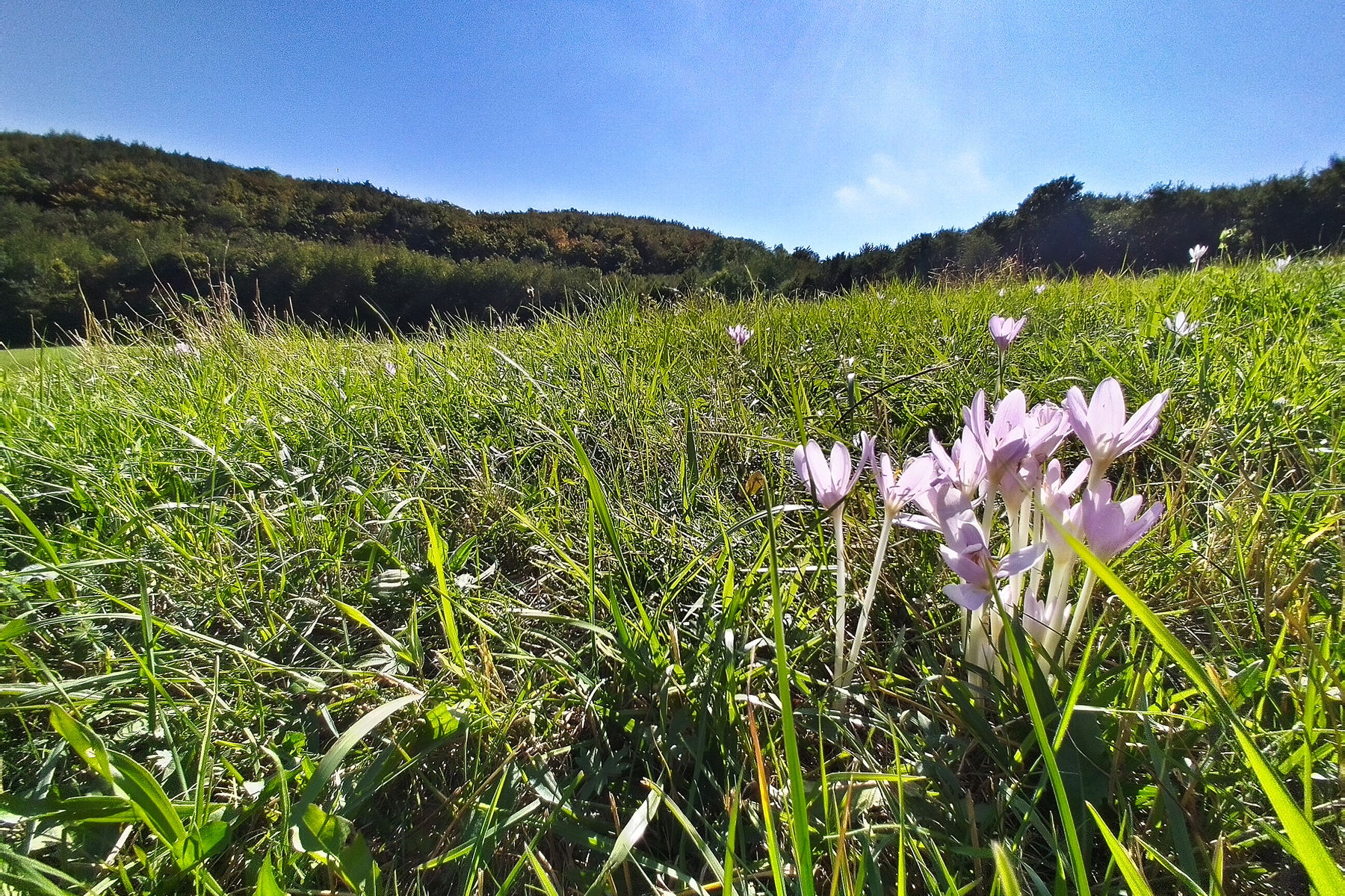 Abenteuerlich von Kaltenleutgeben nach Perchtoldsdorf