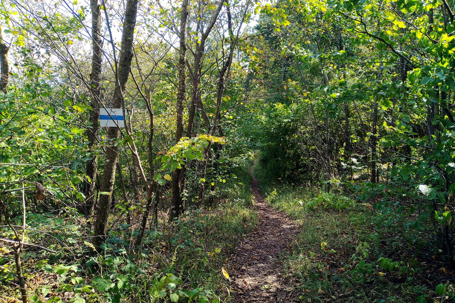 Markierung nach dem Höllensteinhaus, rechts bergab. Foto: Stephan Palecek