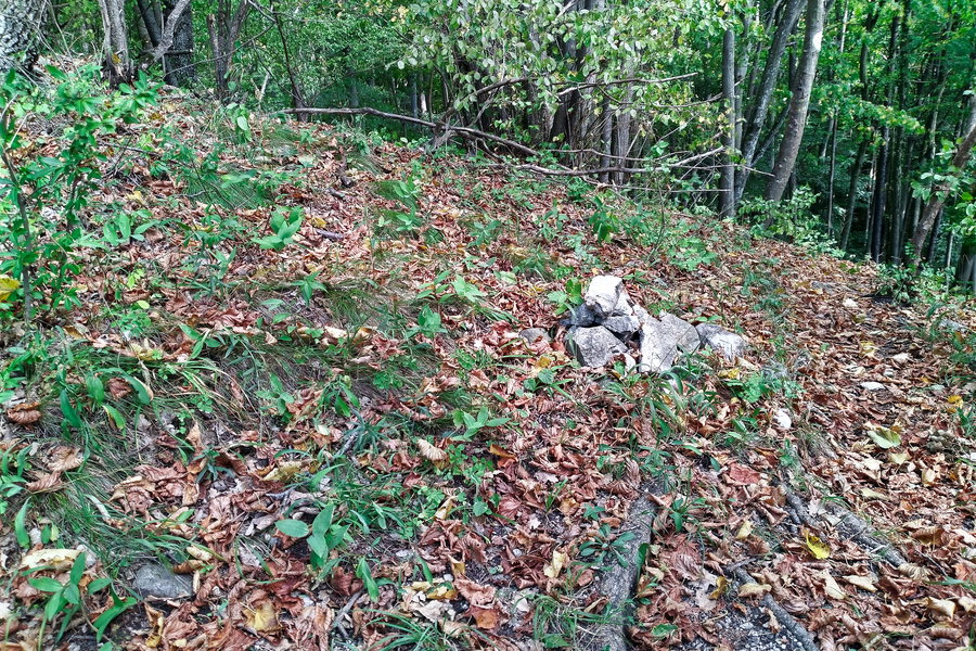 Steinhaufen - Markierung der Abzweigung zum Irrweg. Foto: Stephan Palecek