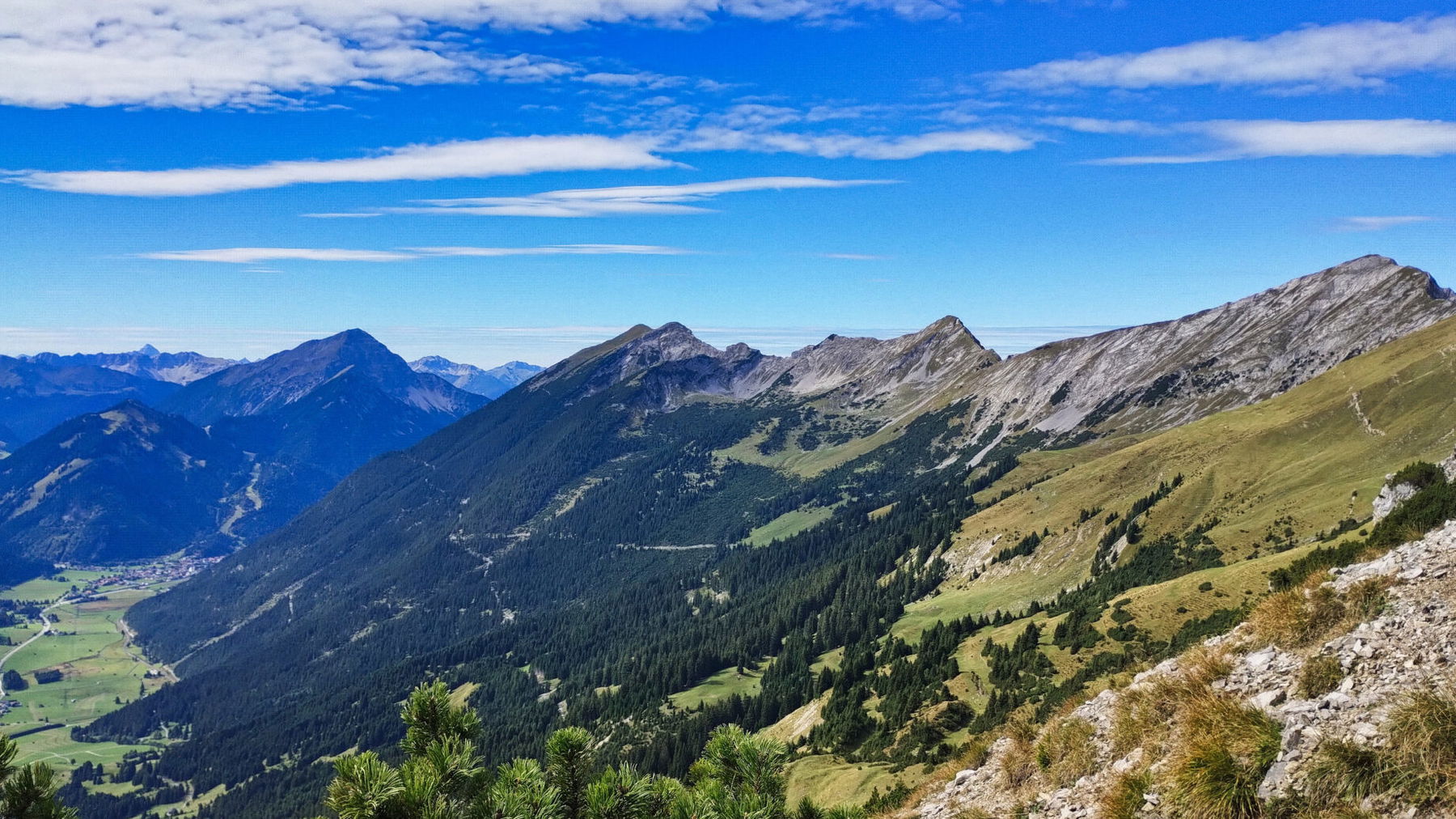 Daniel. Foto: Nikolaus Vogl