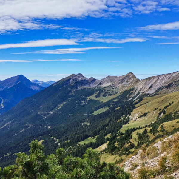 Daniel. Foto: Nikolaus Vogl