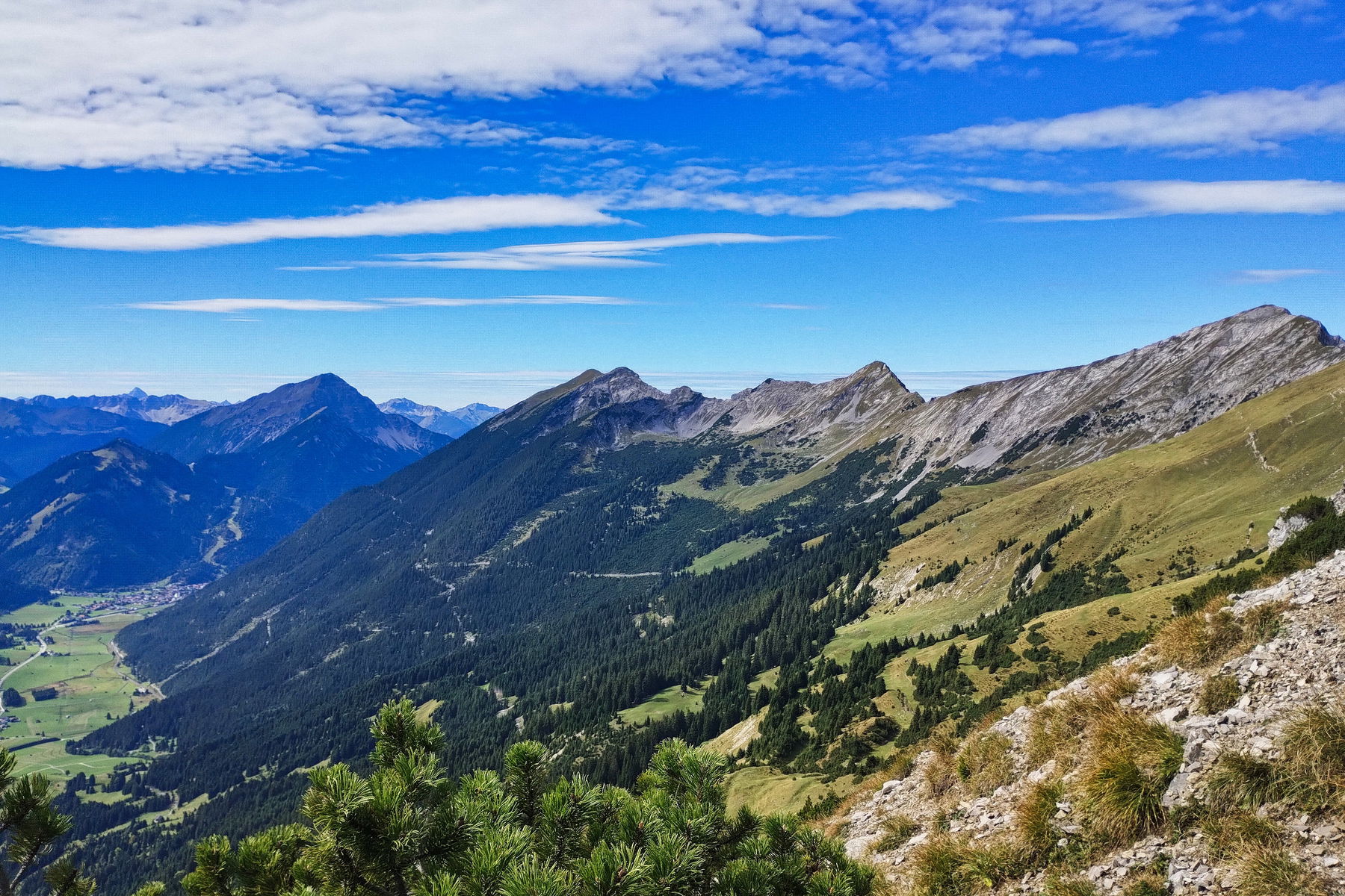 Dem Daniel aufs Haupt