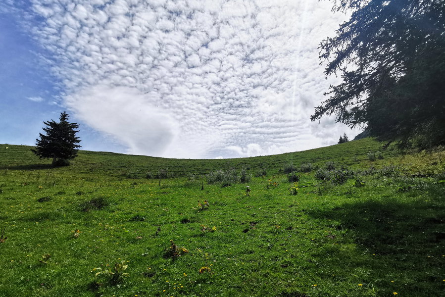 Der Horizont, nicht mehr weit! Foto: Sonja Wesely