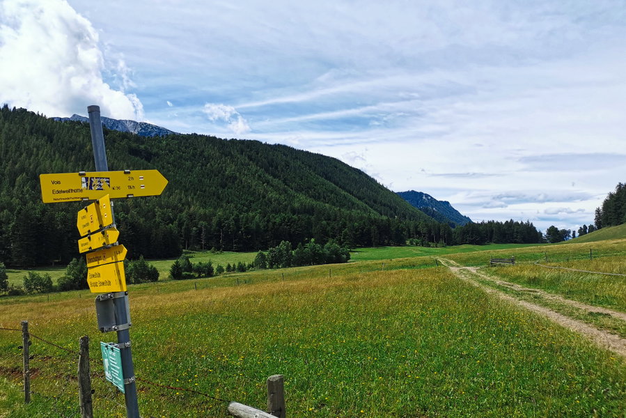 Große Weide - Richtung Edelweisshütte. Foto: Sonja Wesely