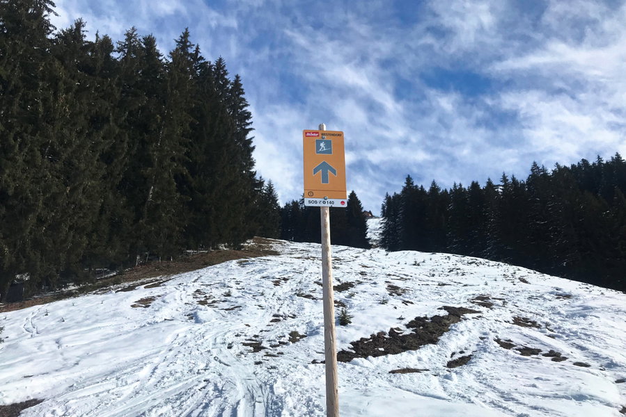 Hinweisschilder der Auffstiegsspur oberhalb des Berggasthofes Stimmlach. Foto: David Kurz