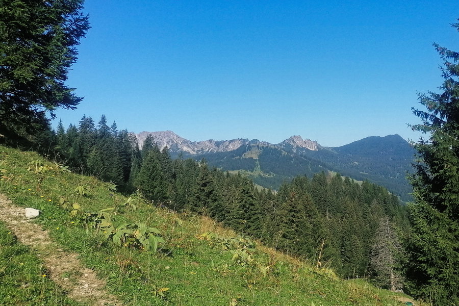 Kurz vor der Nonnenalpe, Blick Richtung Bürserberg mit Mondspitz, Schillerspitz. Foto: Norman und Lisa