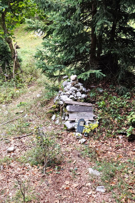 Märchenwiese. Foto: Mario Viehböck