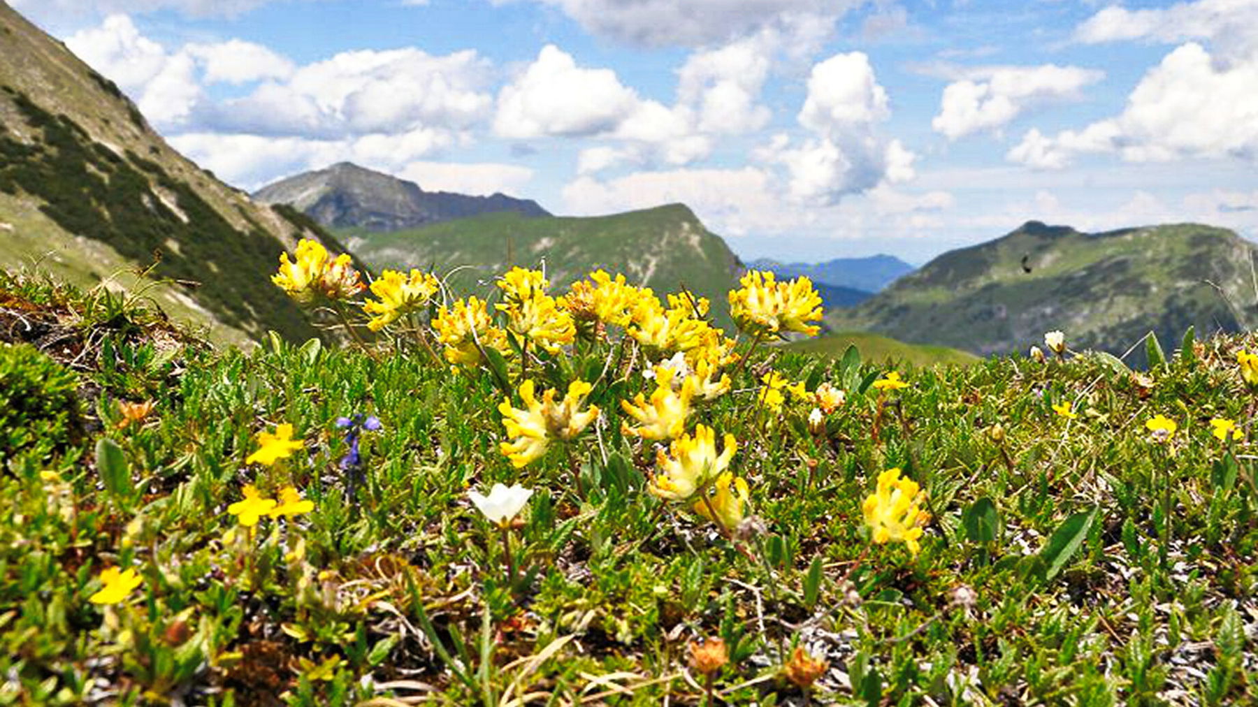 Schafreiter und Fleischbank. Foto: A. Heufelder