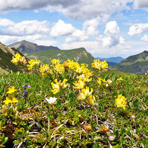 Über Fleischbank und Schafreiter