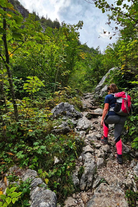 Wanderweg. Foto: Mario Viehböck
