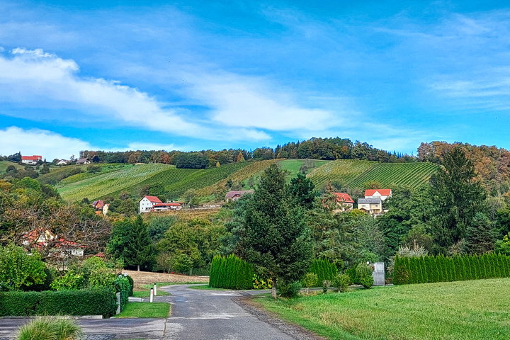 Foto: Alice Frischherz