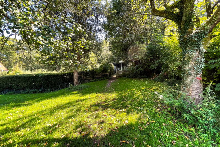 Foto: Eva Maria Ginal