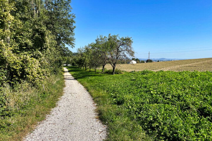 Foto: Eva Maria Ginal