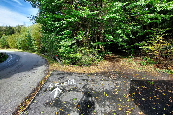 Foto: Alice Frischherz