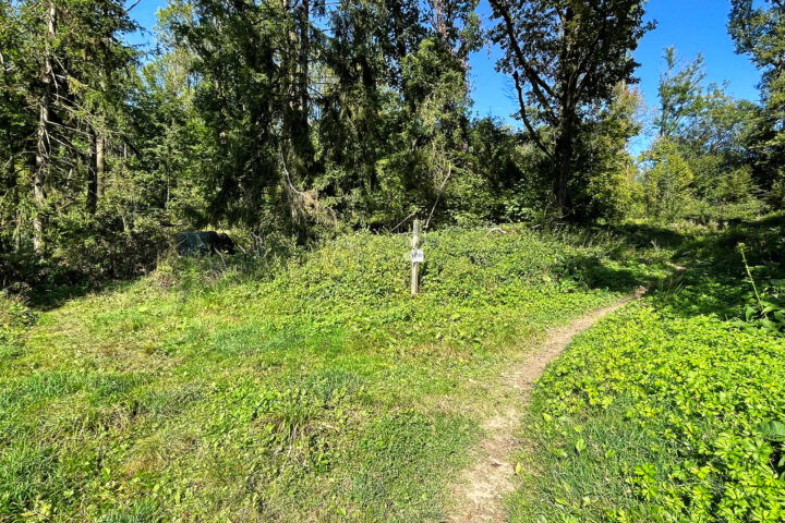 Foto: Eva Maria Ginal